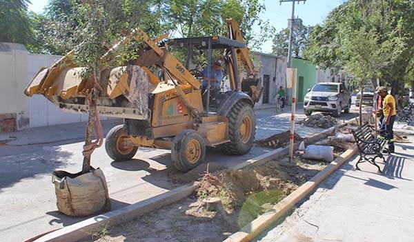Embellecen Alameda Juárez de San Buena