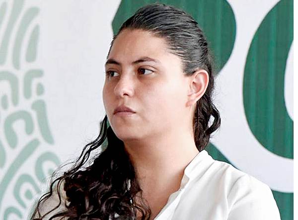 Dan plan educativo millonario a novata