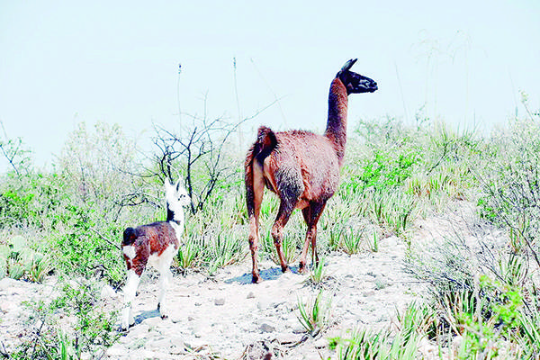 Ecoparque es uno de los lugares más atractivos
