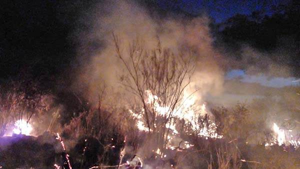 Consume fuego pastizal en ejido