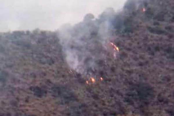 Combaten incendio forestal en la Sierra