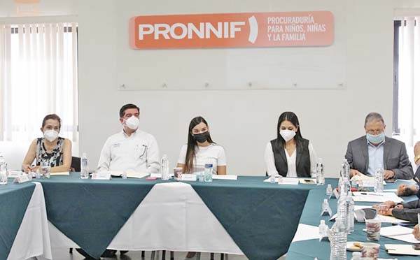 Sesiona comisión de protección de niños