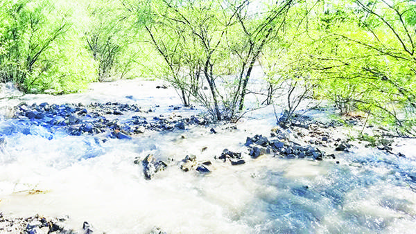 Sin agua Carbonífera
