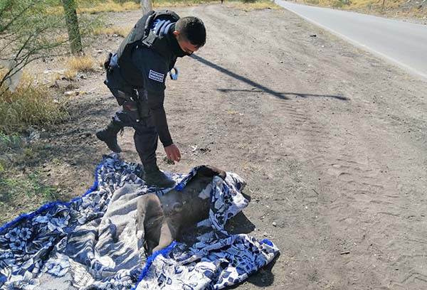 Cuerpo “ensabanado” movilizó a los policías