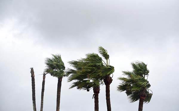 Tormenta tropical ‘Peter’ se forma en Océano Atlántico