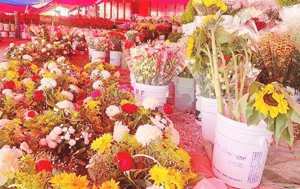 Recuperan los floristas año perdido por Covid