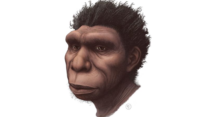 Homo bodoensis: la nueva especie que un grupo de científicos considera «el ancestro directo de los humanos»