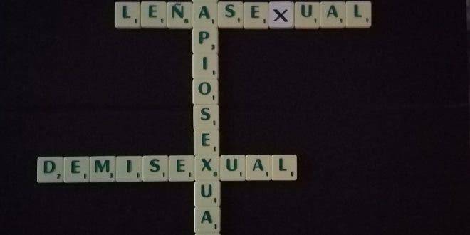 Leñasexual, sapiosexual o demisexual ¿te ves reflejado?