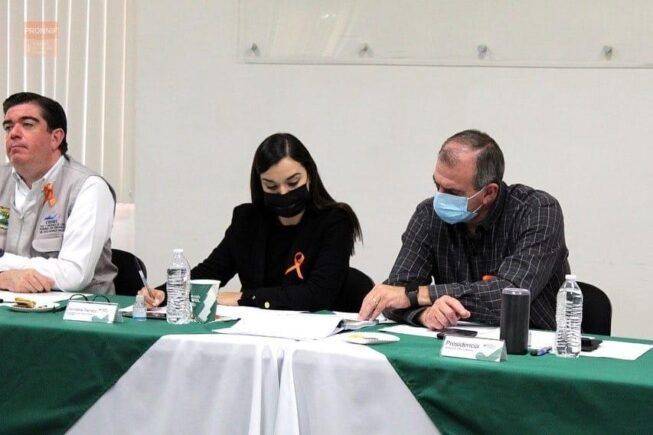 CONSEJO TÉCNICO DE ADOPCIONES DE COAHUILA CIERRA 2021 CON SESIÓN ORDINARIA