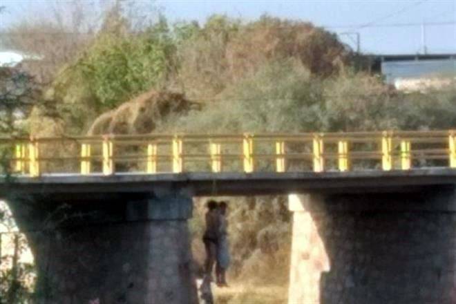 Hallan ocho cuerpos colgados en Fresnillo, Zacatecas