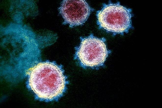 Considera OMS ‘preocupante’ variante Omicron de coronavirus