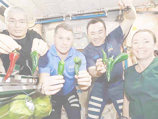 Astronautas de SpaceX regresan en pañales