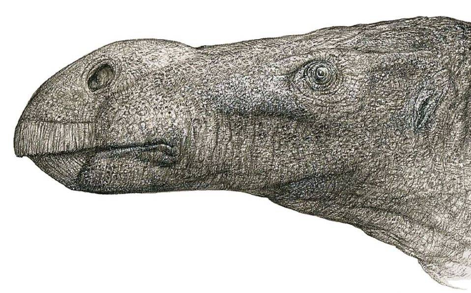 En Reino Unido, hallan nueva especie de dinosaurio iguanodonte