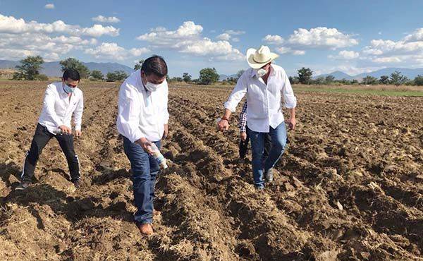 Prefieren productores  abandonar sus tierras