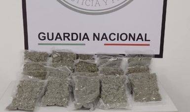 Detecta GN mariguana en empresa de mensajería