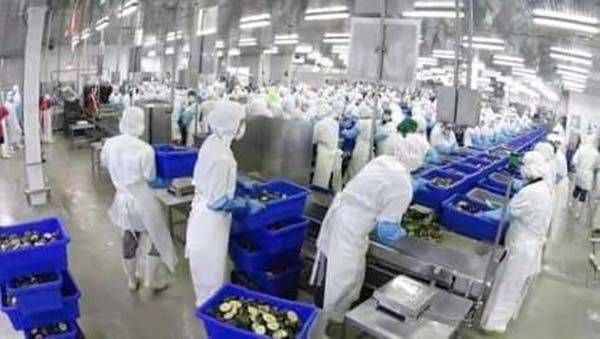 Prepara AVOMEX pago de aguinaldo
