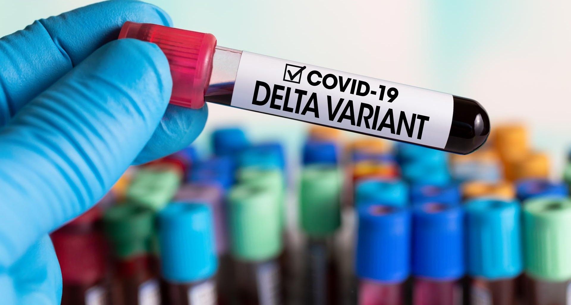 La variante de Sudáfrica, mu, delta y otras: una por una, todas las variantes del coronavirus identificadas hasta el momento