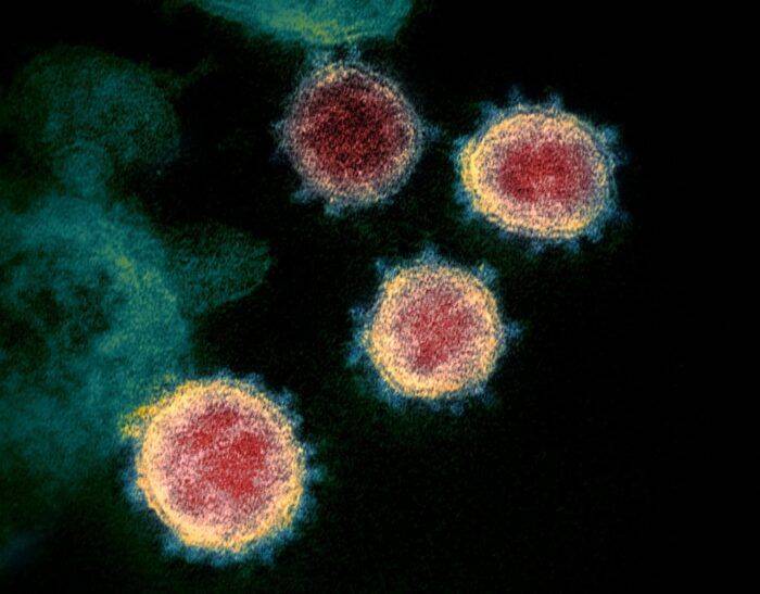 Lo que se sabe de la nueva variante Ómicron de coronavirus