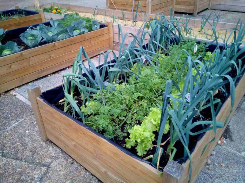 ¿Cómo hacer un huerto urbano de hierbas aromáticas en casa?