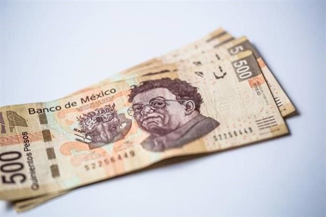 Avanza en Cámara protección de pagos de programas de AMLO