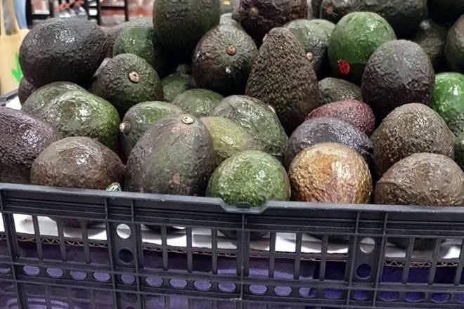 Se dispara precio del aguacate a máximo de 24 años