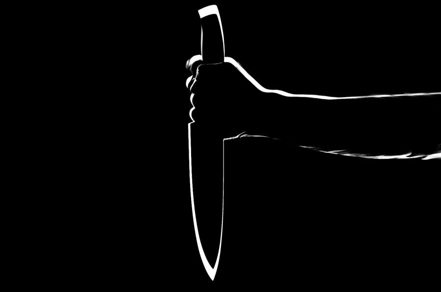 “Es un sueño, decía mientras me acuchillaba”: el escalofriante relato de un niño atacado por su mamá