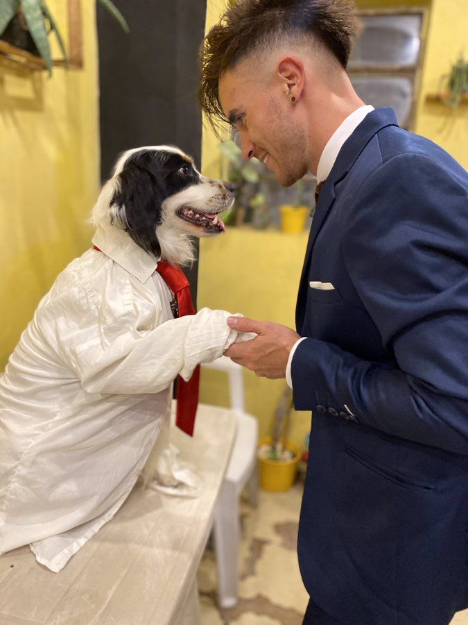 Joven celebra su graduación de Medicina junto a su compañero perrito: «6 años a tu lado»