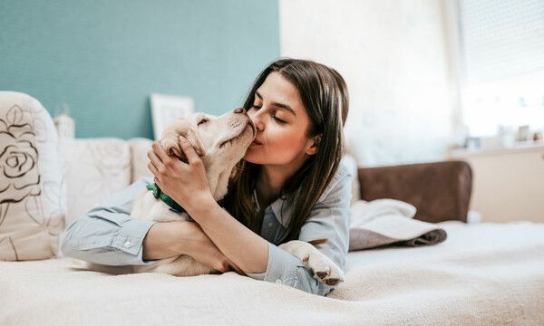 El amor de un perro es verdaderamente medicinal, revela un nuevo estudio