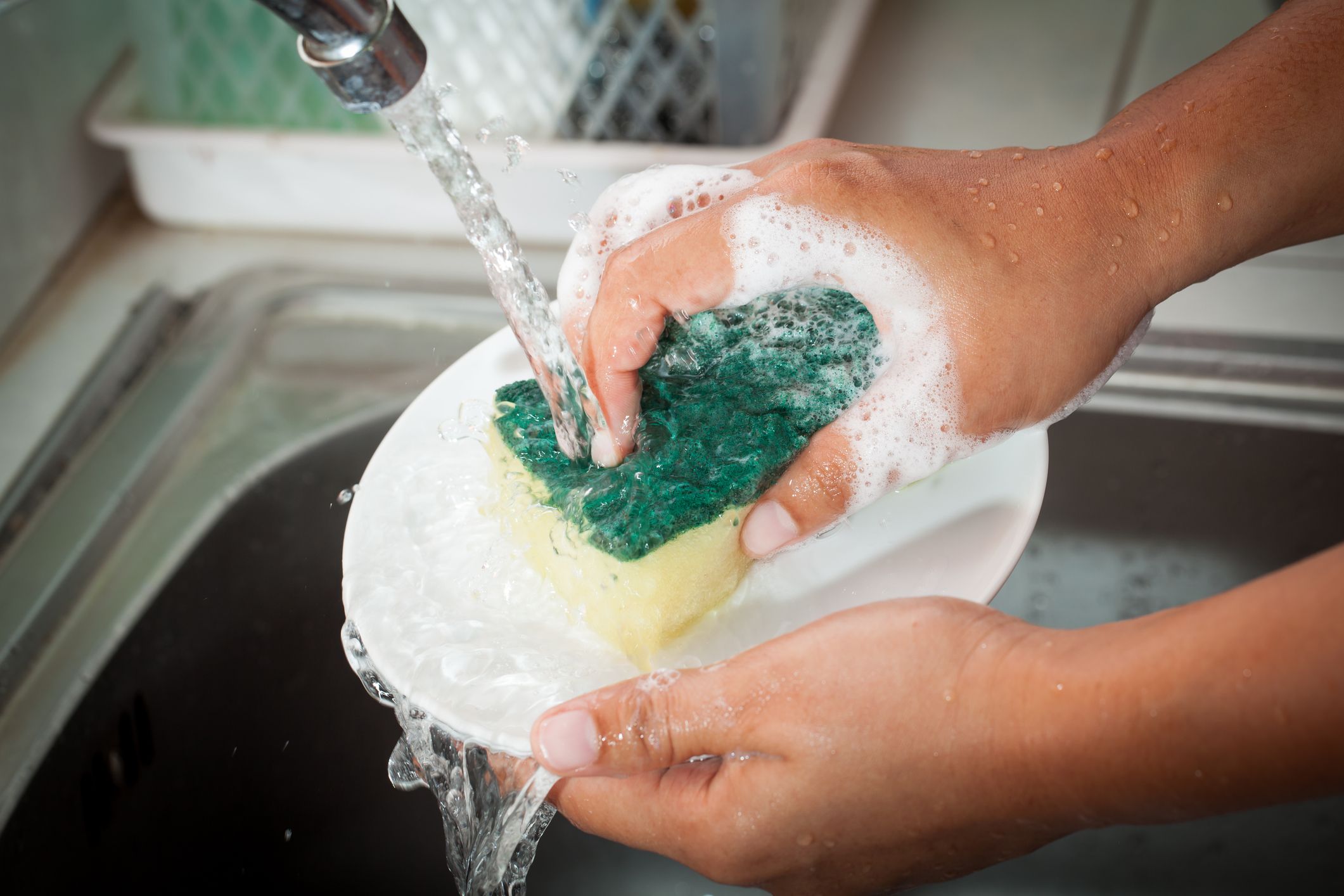 Una esponja de cocina es el entorno perfecto para albergar varios tipos de bacterias, según un estudio