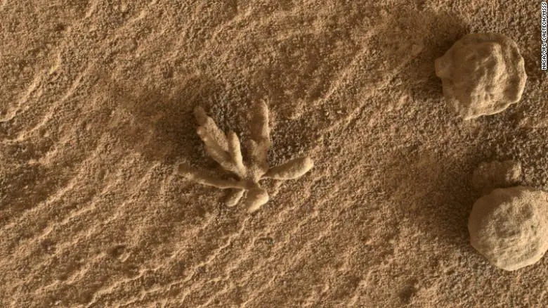 El rover Curiosity avistó una diminuta formación de «flor» en Marte