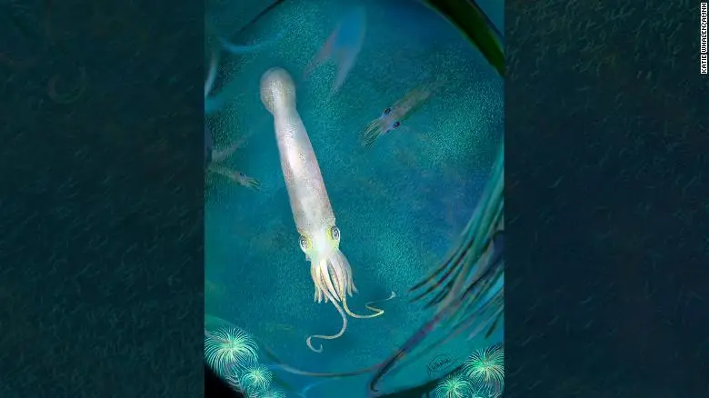Encuentran fósil de un pariente del pulpo, de 328 millones de años, que conserva las ventosas de sus brazos