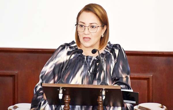 Pide PVEM a CFE garantizar Instalaciones en buen estado