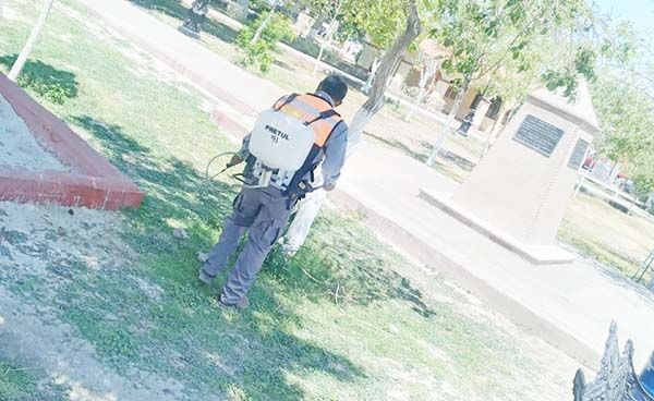 Fumigan área de juegos en plaza