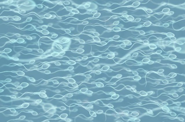 Covid-19 altera niveles de proteínas vinculadas con fertilidad en hombres: estudio
