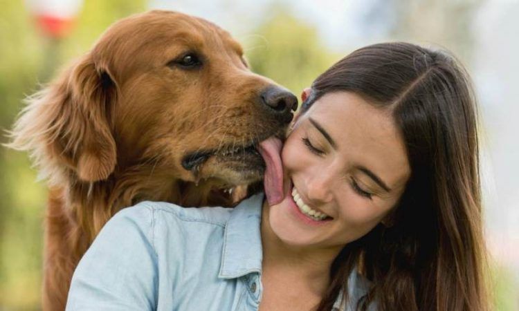 Conexión entre perros y humanos se debe a la similitud de expresiones faciales