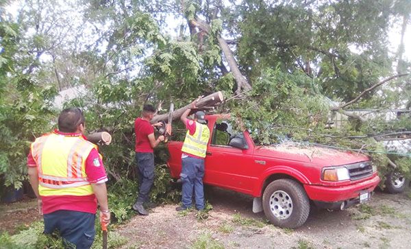 Siguen pronósticos de tormentas en Sabinas