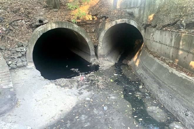 Ven contaminación en Río Magdalena