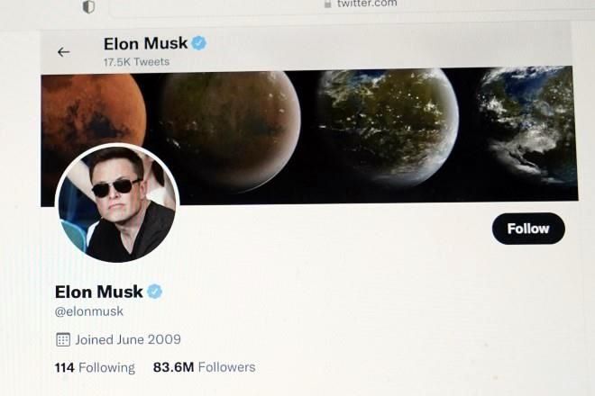 Condiciona Musk compra de Twitter a cifras de bots