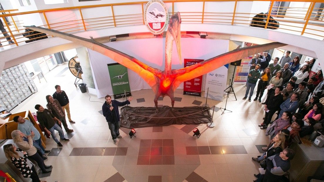 ‘El dragón de la muerte’: descubren en los Andes argentinos uno de los mayores reptiles voladores