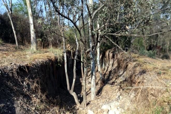 Mitigan impuestos impacto ambiental