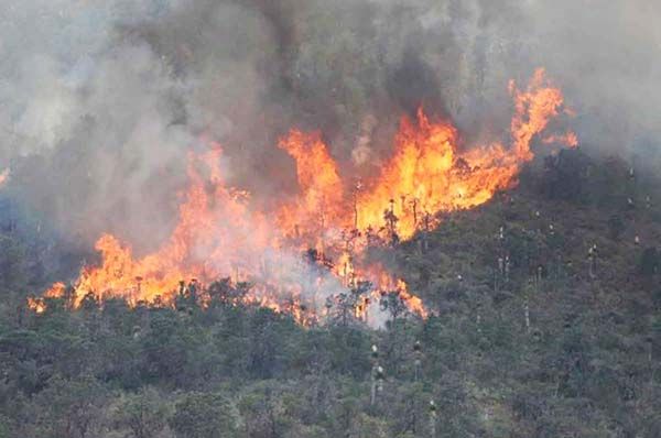 Hay mala calidad del aire por incendios forestales