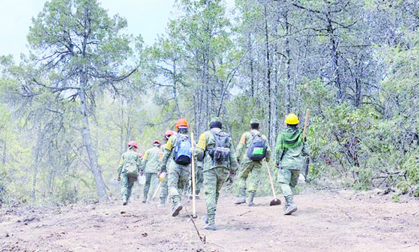 Protegen brigadistas ejido Sierra Hermosa