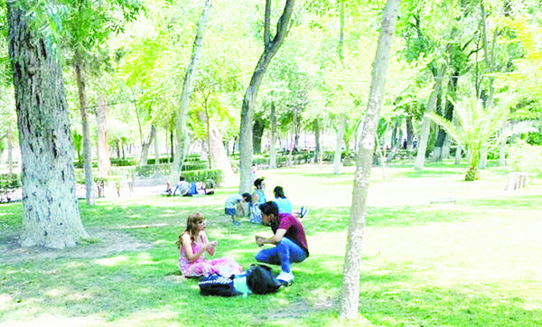 Se protegen del calor en ‘la sombrita’