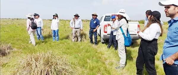 Supervisan resultados en restauración de humedales