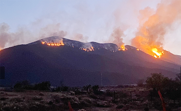 Afecta incendio 160 hectáreas en Arteaga