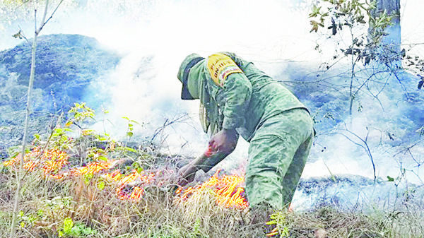 Promueven prevención de incendios forestales