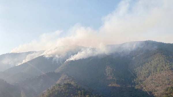 Se mantienen activos 4 incendios en el Sureste