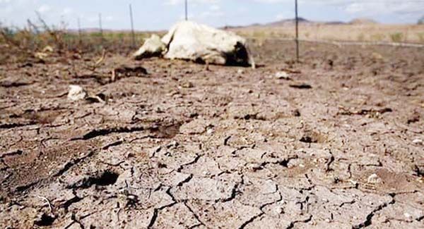 Preocupa escasez de agua para campesinos