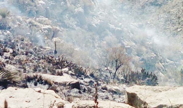 Controlan incendio en la Sierra de Ciénegas