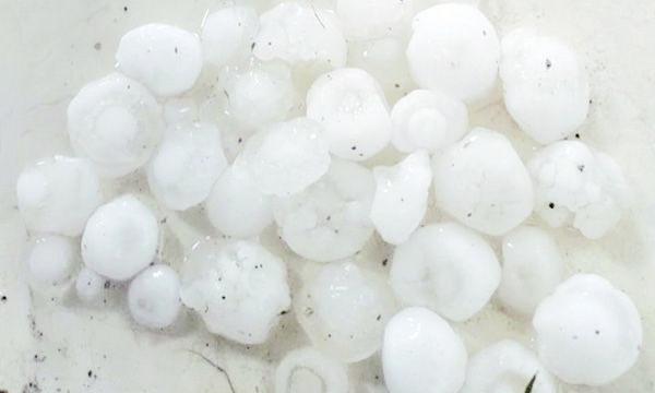 Llega a Múzquiz lluvia y granizo